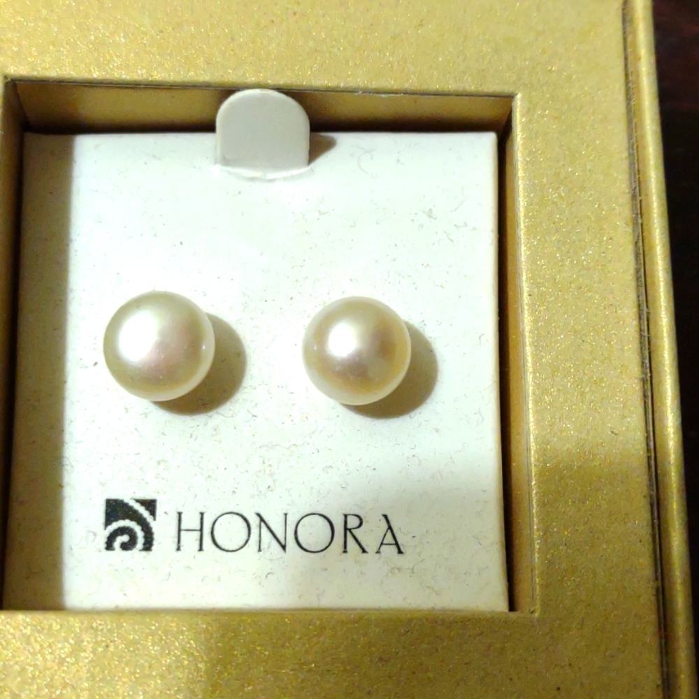 NWOT Post Earrings